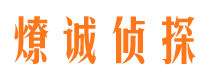 邯郸县市调查公司